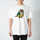 Cody the LovebirdのChubby Bird ウロコインコ Regular Fit T-Shirt