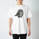 Cody the LovebirdのChubby Bird マメルリハ スタンダードTシャツ