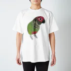 まめるりはことりの可愛いバライロビタイウロコインコちゃん【まめるりはことり】 スタンダードTシャツ