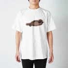 SAKUMA RECORDSの涅槃でニルヴァーナなカモノハシ Regular Fit T-Shirt