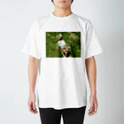 3（4？）わんの若かりし日のさくら Regular Fit T-Shirt