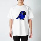 Cody the LovebirdのChubby Bird スミレコンゴウインコ スタンダードTシャツ