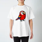 Cody the LovebirdのChubby Bird　アカコンゴウインコ スタンダードTシャツ