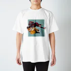 匿名希望 OFFICIAL MERCH SHOPの魚 スタンダードTシャツ