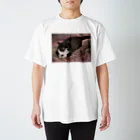 12cats-12secondsの見つめる清のTシャツ スタンダードTシャツ