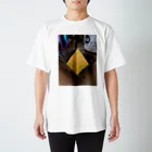 Z.O.Cのpyramid スタンダードTシャツ