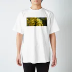 ビるばのミモザとハチ Regular Fit T-Shirt