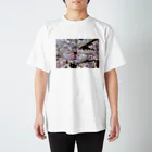 sceneryの桜 スタンダードTシャツ