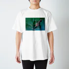 URAMENIの写真家中川 Photo series 5 スタンダードTシャツ