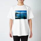 LOCO.AYAのHawaii Waikiki  自分で撮影したハワイシリーズ。 スタンダードTシャツ