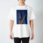 カケイプランツのDAIKANYAMA Regular Fit T-Shirt