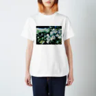 yune@色鉛筆画の花の息吹 スタンダードTシャツ