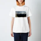 monotonic storeのskyscraper in NY Regular Fit T-Shirt