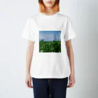 日本茶専門店朱夏のtea girl! T-shirt Regular Fit T-Shirt