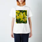 akane_art（茜音工房）の癒しの風景（オウバイ） Regular Fit T-Shirt