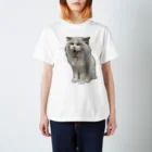 ぱわー!の飼い猫のグッズ5 スタンダードTシャツ