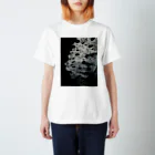 29sのSC Regular Fit T-Shirt