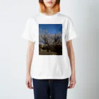 まち子宗形の桜の木 Regular Fit T-Shirt