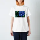 憧憬写真館のHydrangea スタンダードTシャツ