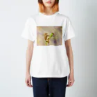 星の銀貨（アナログイラスト）のふわふわ Regular Fit T-Shirt