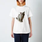 猫ポムの猫のポム　 スタンダードTシャツ