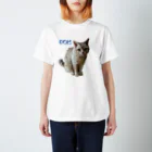 猫ポムの猫　ポム スタンダードTシャツ