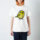 Cody the LovebirdのChubby Bird マメルリハ　イエロー スタンダードTシャツ