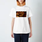 OlbaidのAutumn eye スタンダードTシャツ