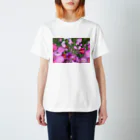 kenの乱れ秋桜 Regular Fit T-Shirt