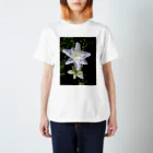 Dreamscape(LUNA)の連れ添ってどこへ行きましょう？ Regular Fit T-Shirt