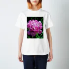 Dreamscape(LUNA)の集まって…美しく Regular Fit T-Shirt