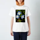 Dreamscape(LUNA)のスカイブルーはお好き？ Regular Fit T-Shirt