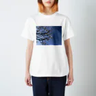 hiroki-naraの光景　sight738　梅  花 FLOWERS スタンダードTシャツ