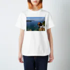 ナンバープレート風Ｔシャツのダックスフンド×Tシャツ（アップル×奄美大島） スタンダードTシャツ