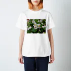 Dreamscape(LUNA)のそろって咲いて・・・No.3 Regular Fit T-Shirt