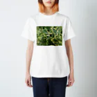 Dreamscape(LUNA)のエヴァーグリーン Regular Fit T-Shirt
