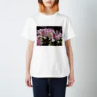 sadotrip | Delightのsadotrip | 花咲く スタンダードTシャツ