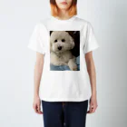 0526riのりつくんTシャツ🐶 スタンダードTシャツ