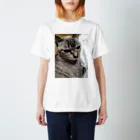 ねこの森でお散歩のさあ、モフりなさいよ。 Regular Fit T-Shirt