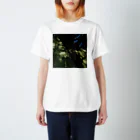 softihhardの藻アートTshirt スタンダードTシャツ