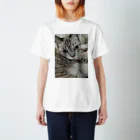 ねこの森でお散歩のフッワフワのシャムミックス スタンダードTシャツ