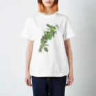 植物の絵師「洋子」の店の梅花空木 Regular Fit T-Shirt