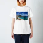 doyoubi333のハワイの風景 スタンダードTシャツ