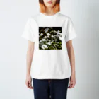 Tシャツ&雑貨の木漏れ日 Regular Fit T-Shirt
