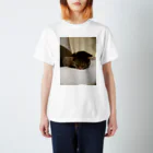 工房かみりゅんの家の猫　茶虎 Regular Fit T-Shirt