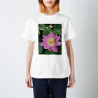 ohkの蓮の花 スタンダードTシャツ