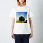 Emanon  ShopのAbū Dhabī tree Regular Fit T-Shirt