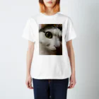 わが家の猫山さん。の猫山さん。はるがきた。 Regular Fit T-Shirt