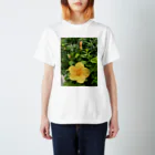 nature islandのハイビスカス スタンダードTシャツ