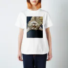 みっちのキジトラ猫のくるみちゃん Regular Fit T-Shirt